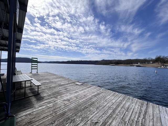 dock area with a water view