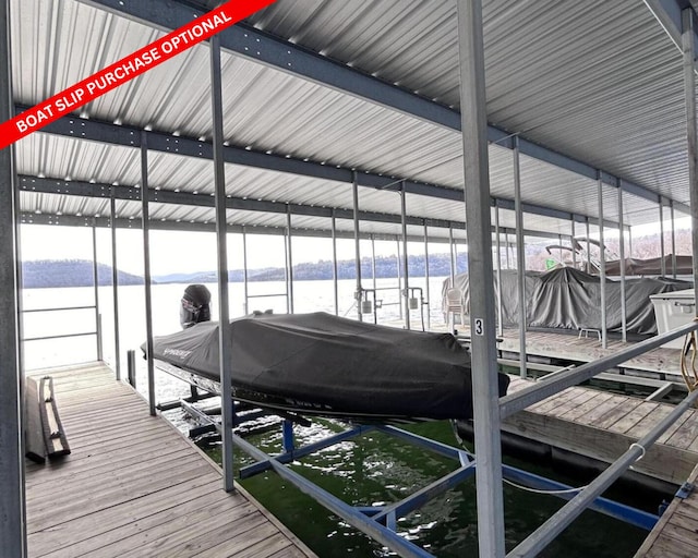 dock area with boat lift