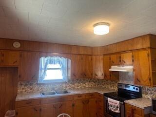 kitchen featuring backsplash, black / electric stove, and sink