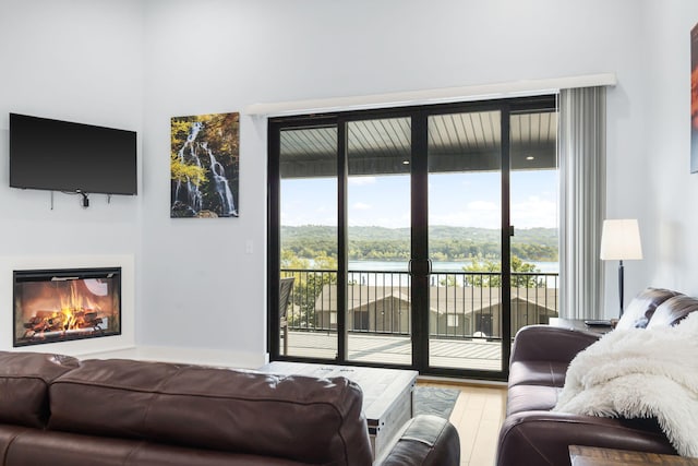 living room with a glass covered fireplace, a water view, and light wood-style flooring