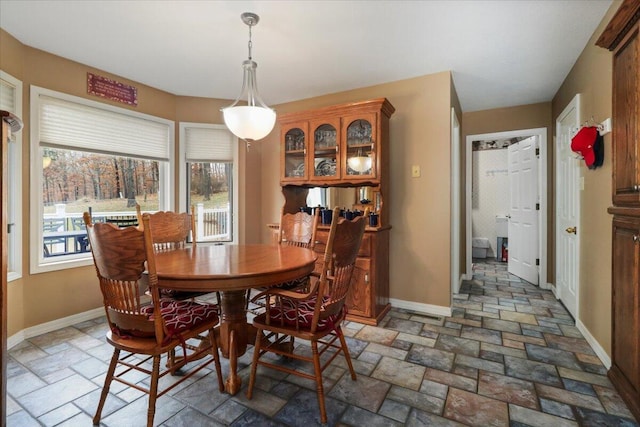 dining room featuring a wealth of natural light