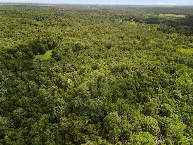 1588 US Highway 160, Caulfield, MO 65626 - drone / aerial view of a forest