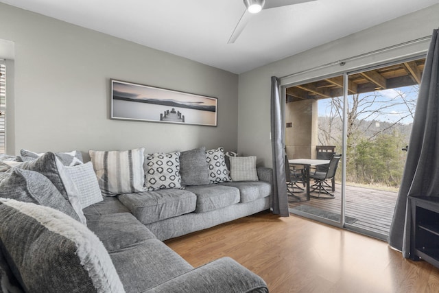 living room with a wealth of natural light, hardwood / wood-style floors, and ceiling fan