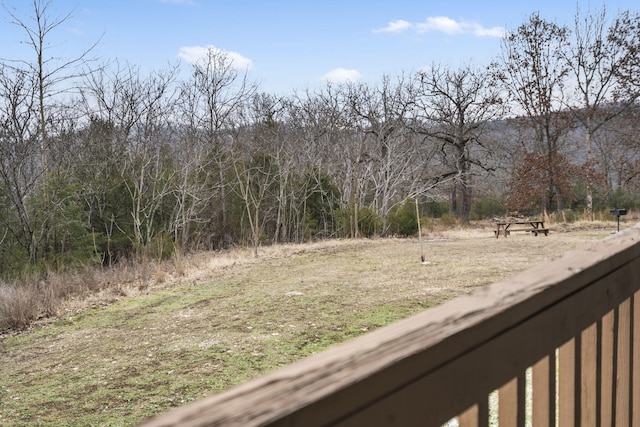 18 Goldfinch Dr Unit 1, Indian Point, MO 65616 - photo 37