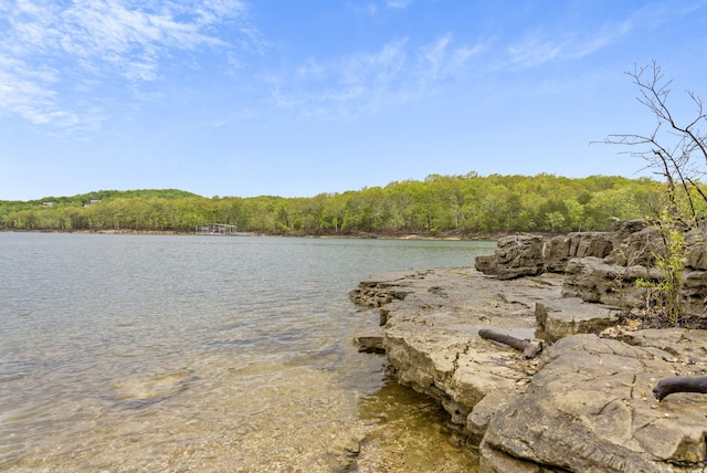 property view of water