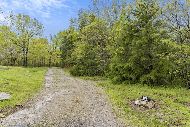 18 Goldfinch Dr Unit 1, Indian Point, MO 65616 - photo 46