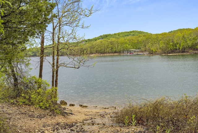 18 Goldfinch Dr Unit 1, Indian Point, MO 65616 - photo 47