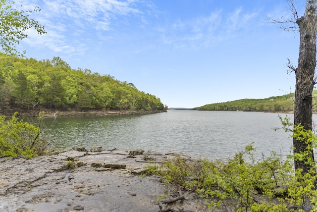 water view