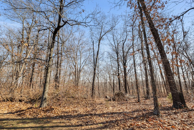 view of landscape