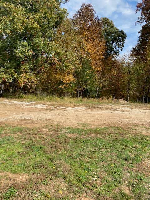 455 Dry River Ct, Springfield, MO 65803 - photo 2