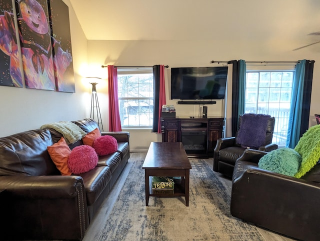 living room with a fireplace and hardwood / wood-style flooring