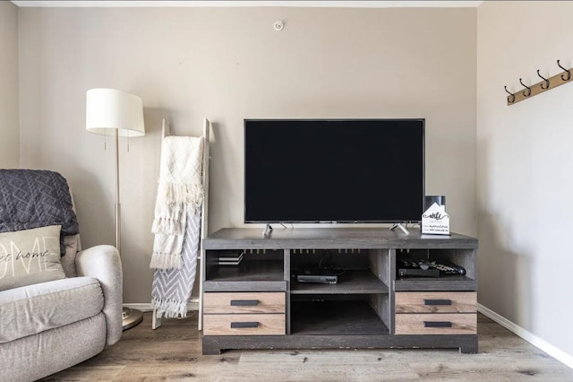 living room featuring hardwood / wood-style flooring