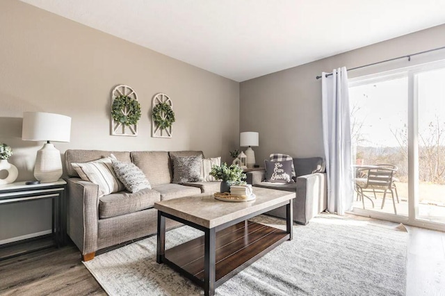 living room featuring hardwood / wood-style floors