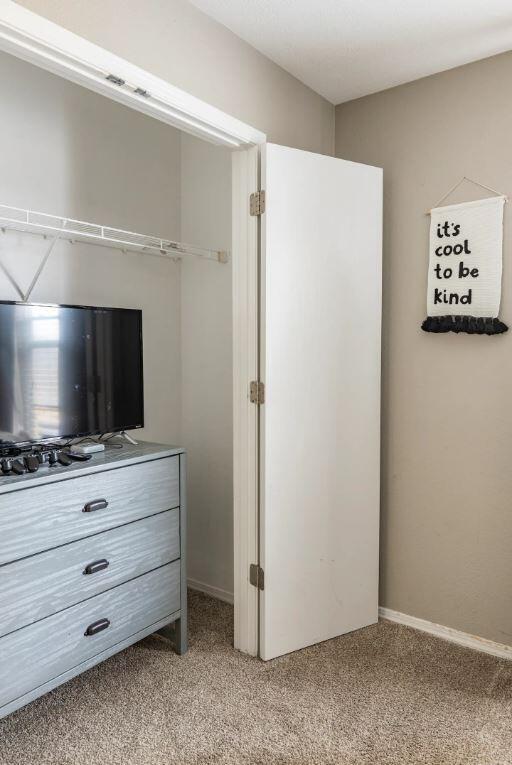 view of closet