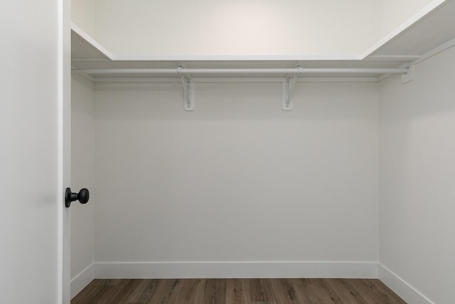 spacious closet with dark wood-style floors