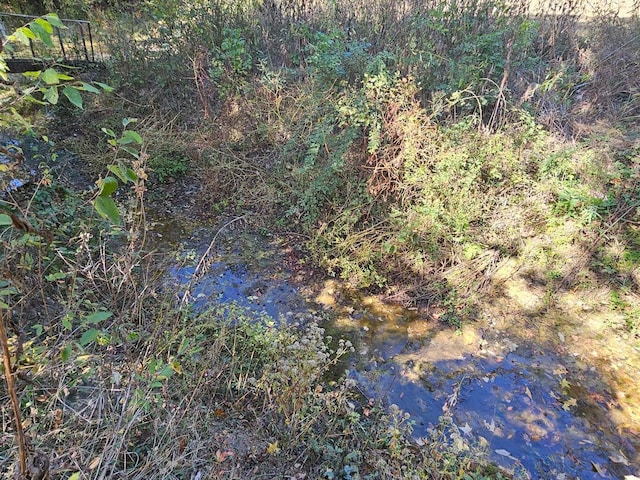 view of landscape featuring a water view