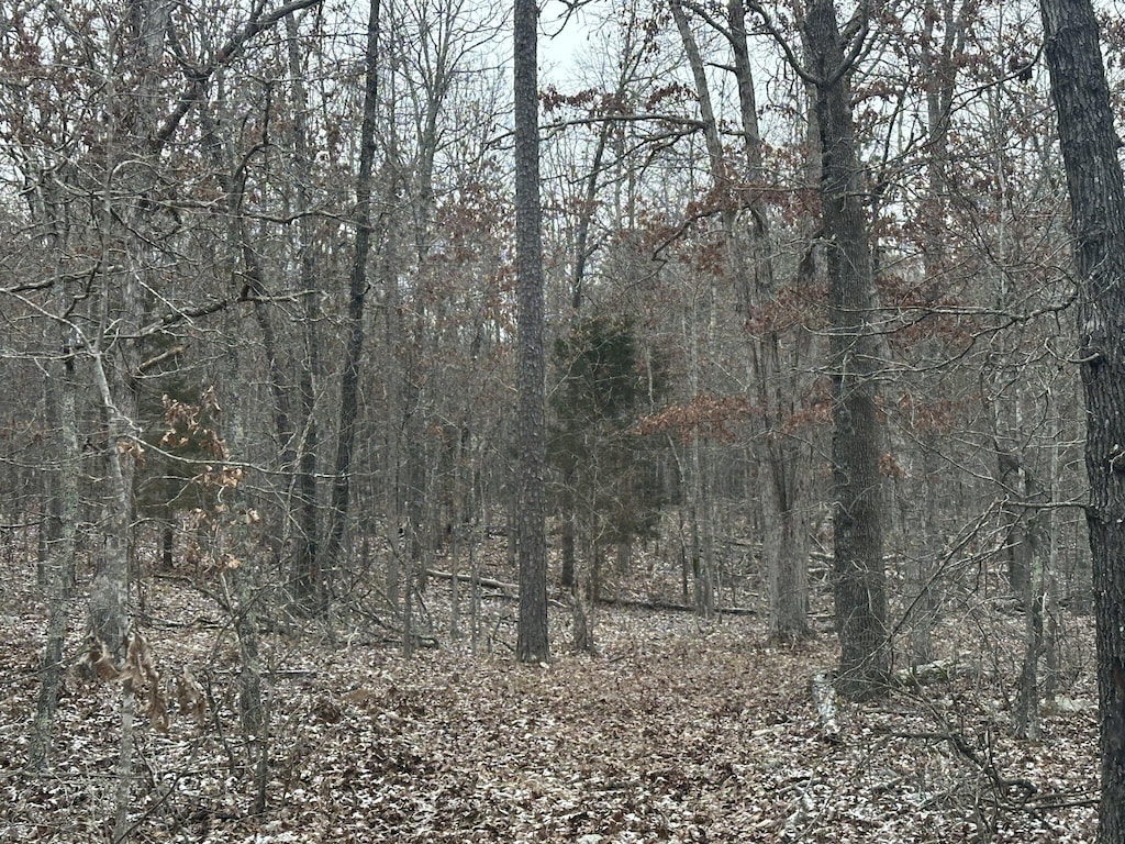 view of local wilderness