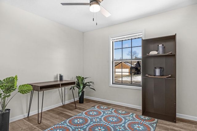 office with ceiling fan and hardwood / wood-style flooring