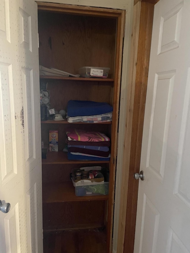 view of closet