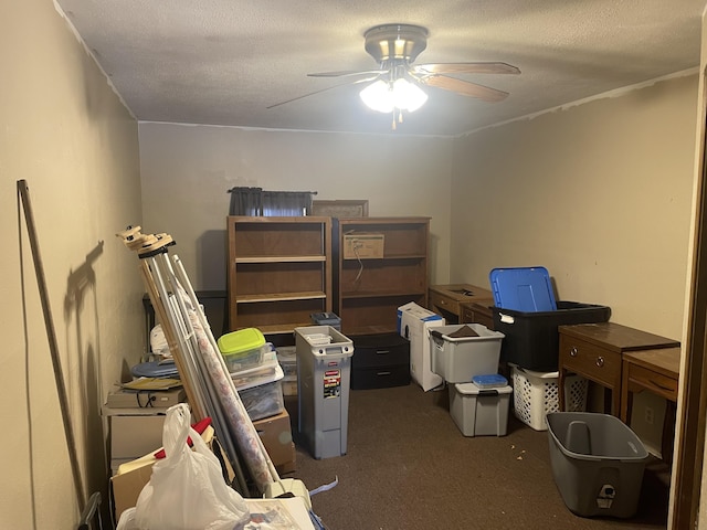 storage area with ceiling fan