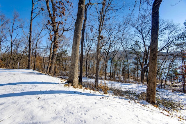 view of snowy yard