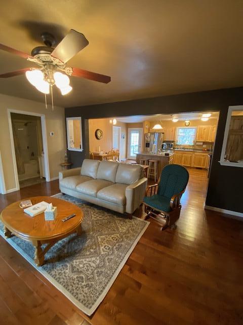 living room with hardwood / wood-style flooring and ceiling fan