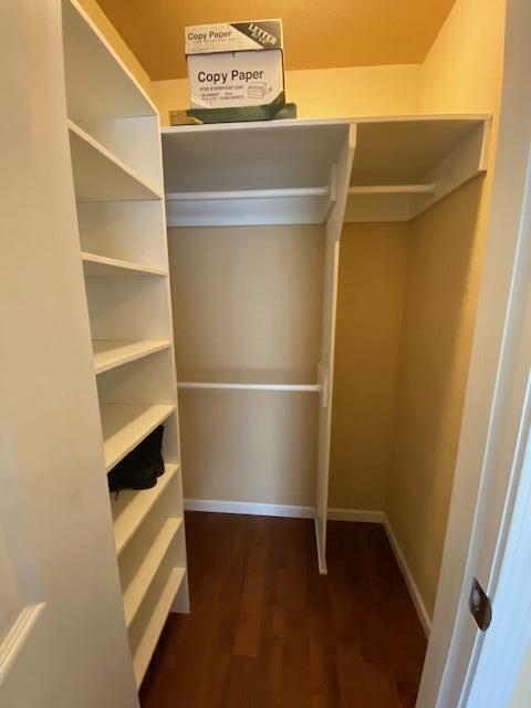 walk in closet with dark hardwood / wood-style floors