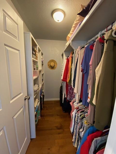 spacious closet featuring hardwood / wood-style flooring