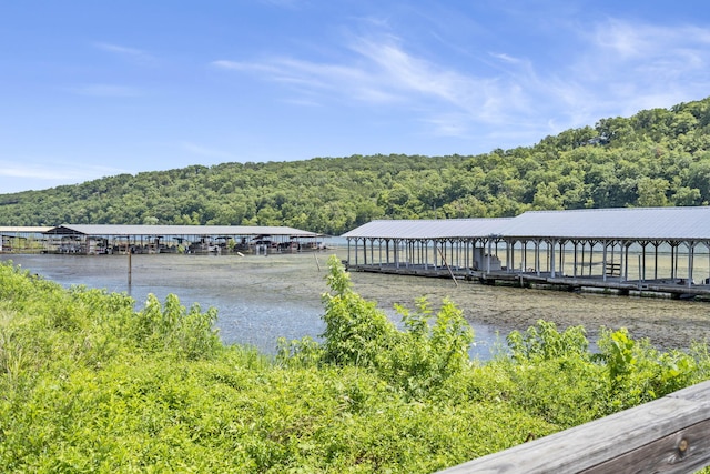 view of dock featuring a water view