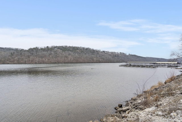 property view of water