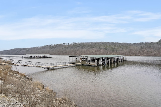 dock area featuring a water view