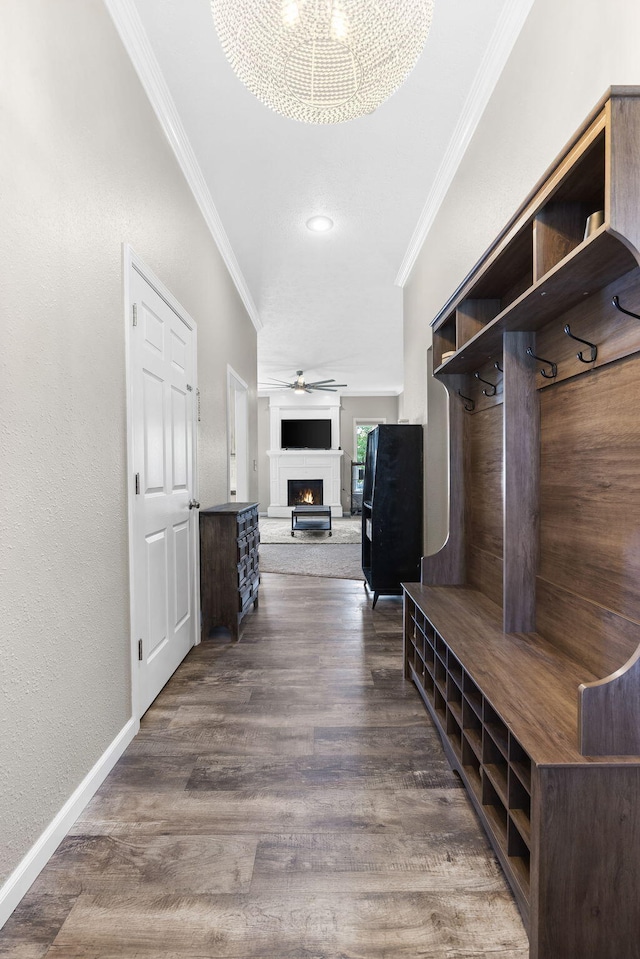 mudroom featuring ceiling fan, dark hardwood / wood-style floors, and ornamental molding