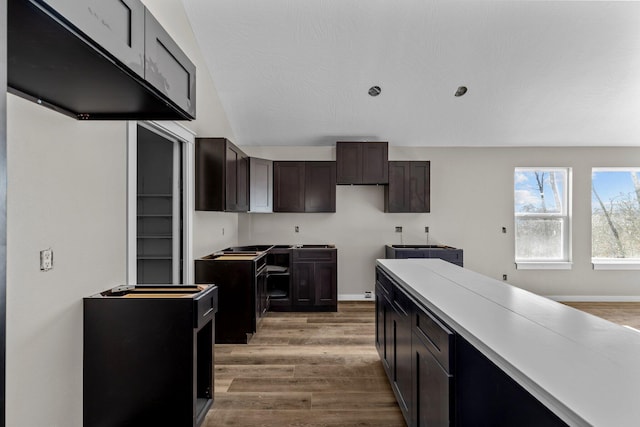 kitchen with light hardwood / wood-style floors and dark brown cabinets