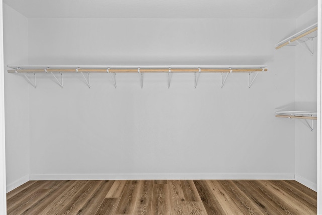 spacious closet featuring dark wood-type flooring