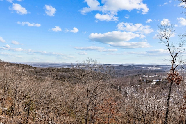 view of mountain feature