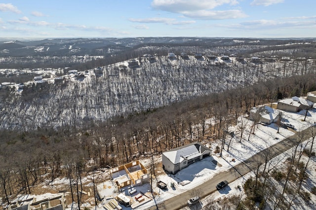 view of snowy aerial view