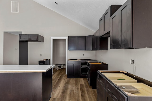 kitchen with dark wood-type flooring and high vaulted ceiling