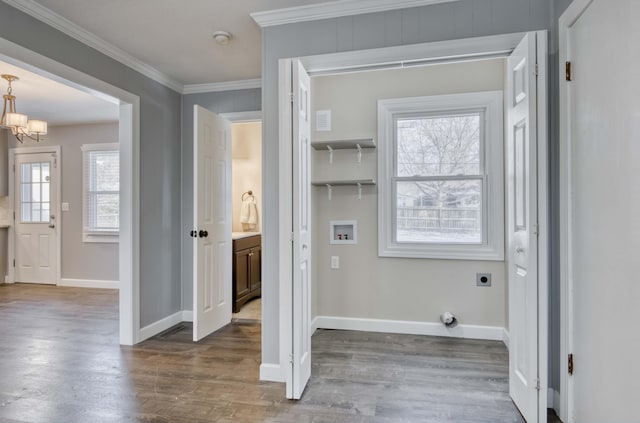 laundry area with hardwood / wood-style floors, hookup for a washing machine, ornamental molding, a notable chandelier, and electric dryer hookup