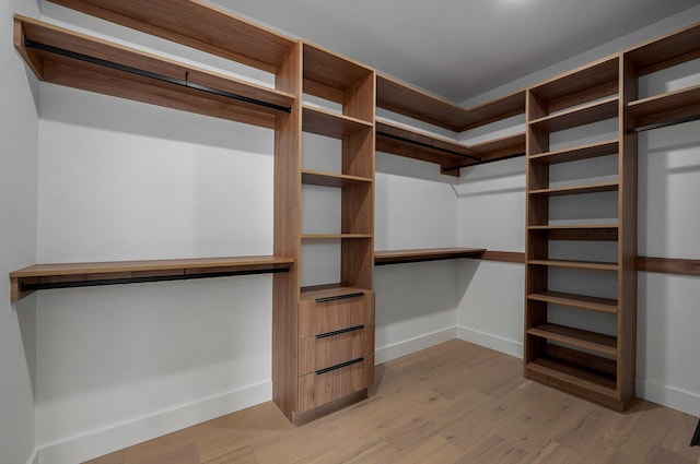 spacious closet with light hardwood / wood-style flooring