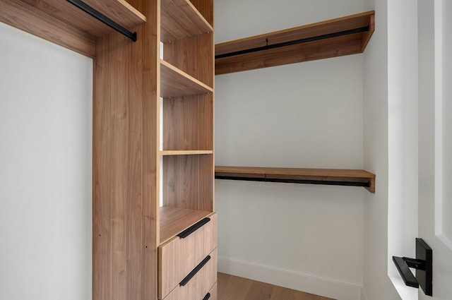 walk in closet with light wood-type flooring