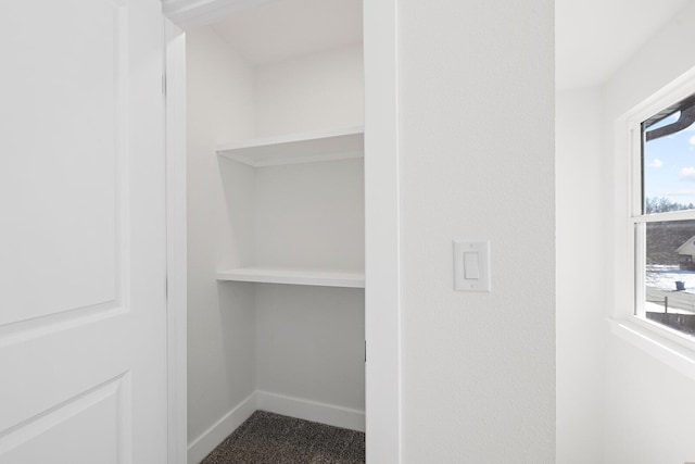 view of closet