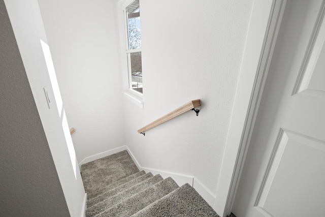 stairs with carpet