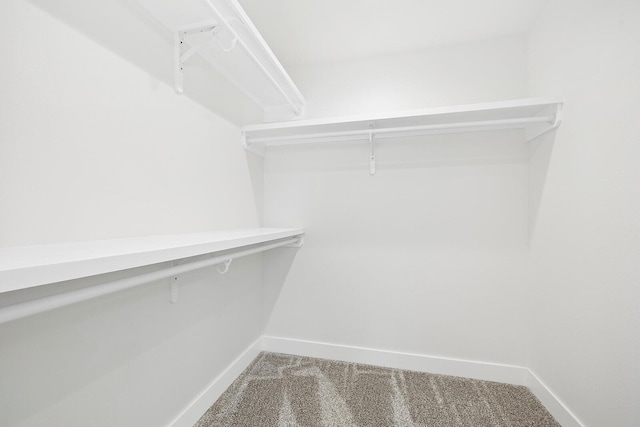 walk in closet featuring carpet