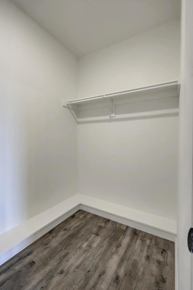 spacious closet with hardwood / wood-style flooring