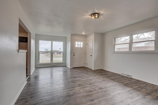 foyer with a textured ceiling, dark hardwood / wood-style floors, and plenty of natural light