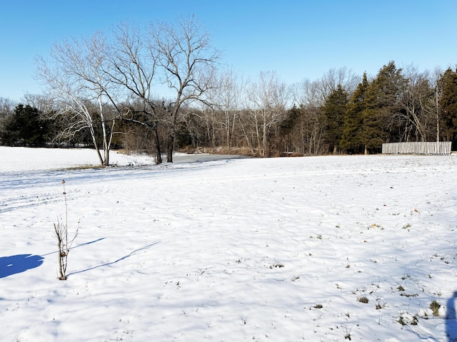 view of snowy yard