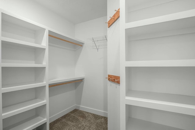 spacious closet with carpet floors