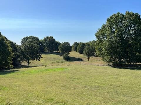 view of local wilderness with a rural view