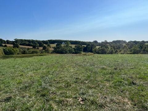 view of local wilderness featuring a rural view