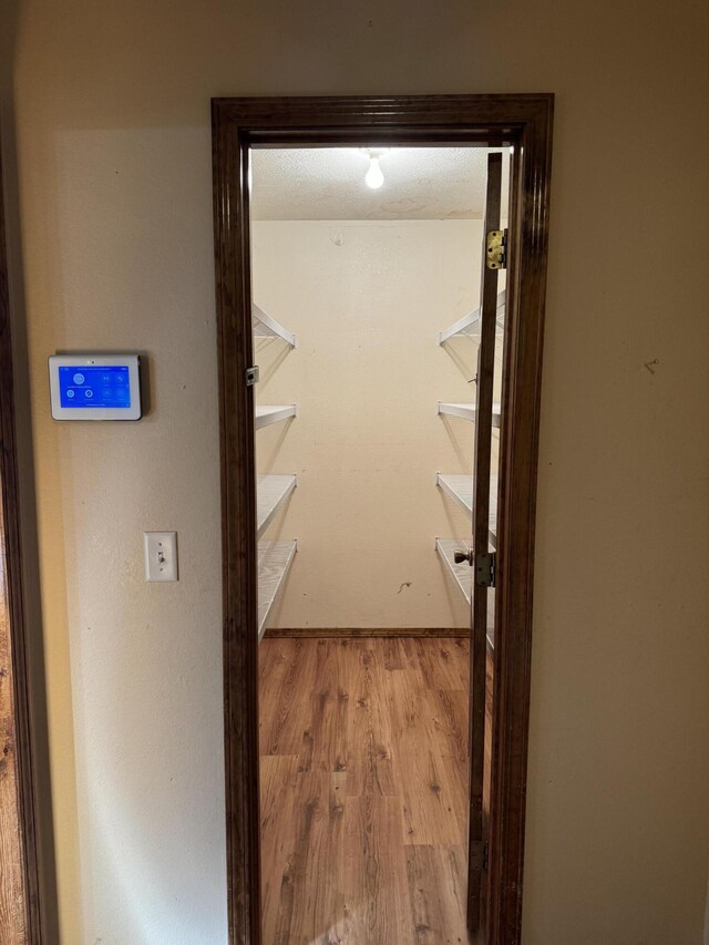 walk in closet with light hardwood / wood-style floors